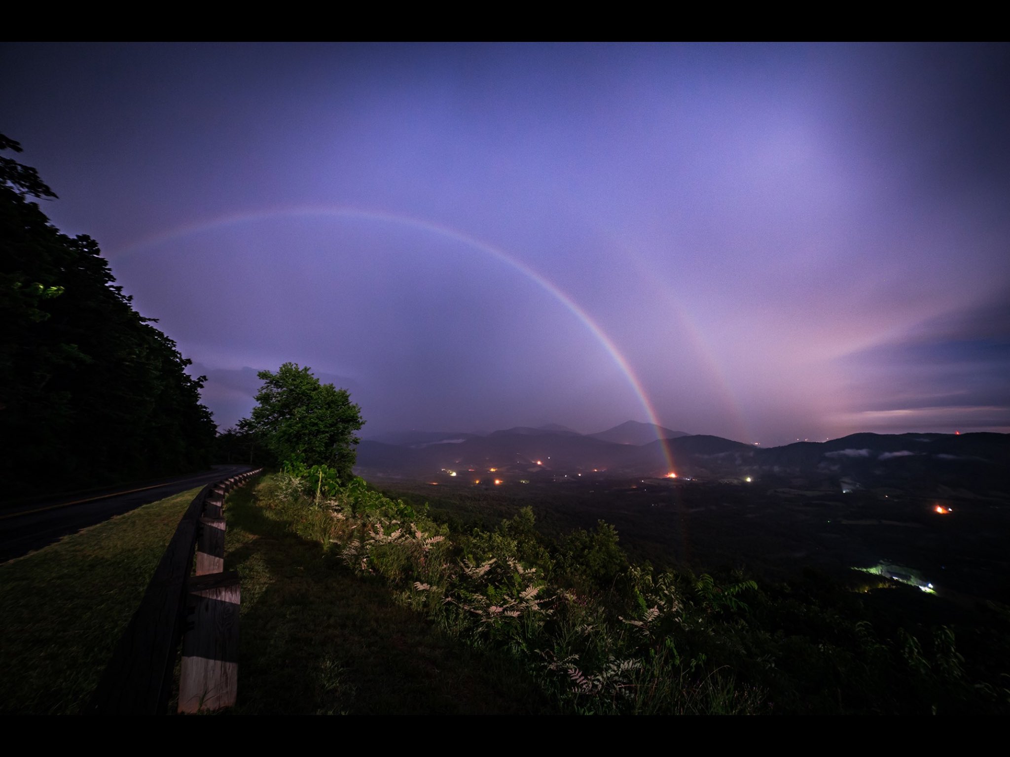 Nest Moonbow