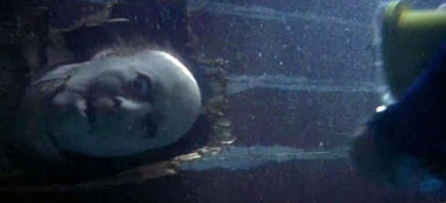 thedailyjaws's tweet photo. #Jaws3D is bustling with visual echoes of #Jaws #Jaws3DWeek https://t.co/S0NK80cyw9