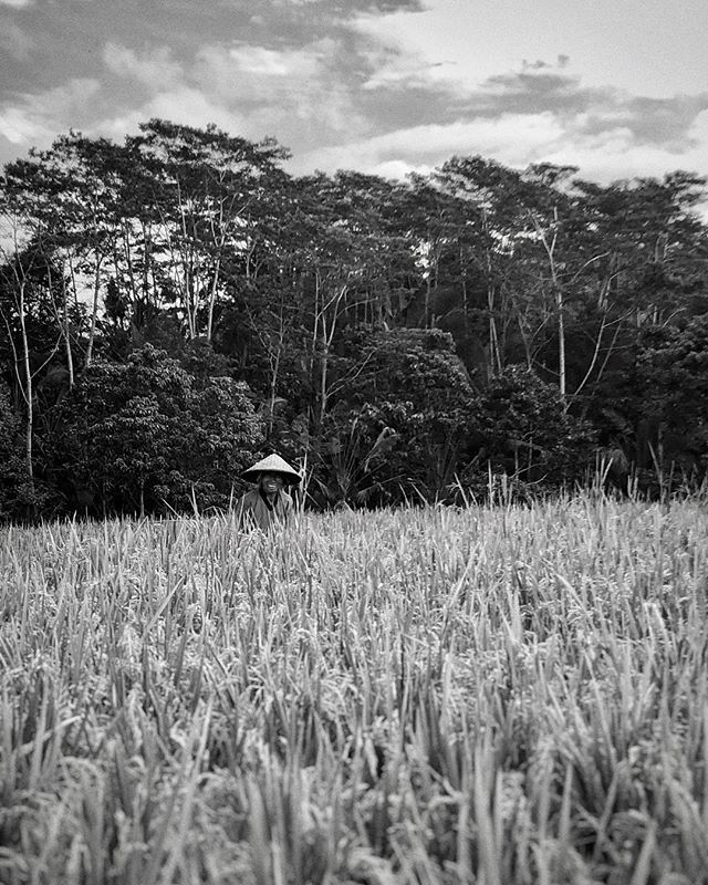 CINQMARS's tweet image. #cinqmars #indonesia #bali #baliecostay #smile #bnw #bnwphotography