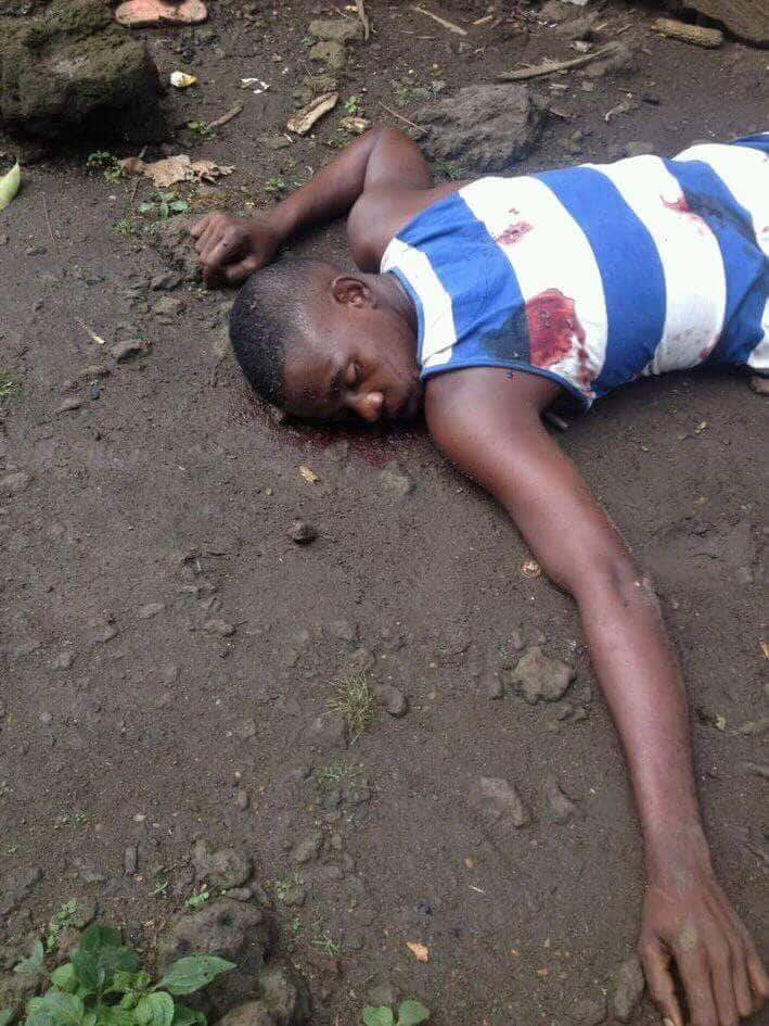 Eugeneufoka's tweet photo. You don't need to be a terrorist to be killed  by La Republique du Cameroun military. Being an Indigenes of #SouthernCameroons qualifies you to be slaughter in your home.This is genocide @CarlSkau @SweMFA @SwedenUN @RussiaUN @Ulkoministerio @NorwayMFA @margotwallstrom @DanishMFA https://t.co/bBwdE06tLZ