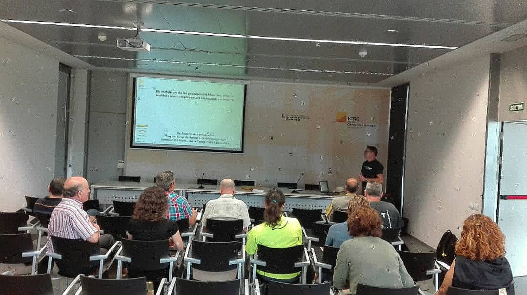 GeoparcOrigens's tweet photo. Finalitzem el curs UdL dels jaciments del cretacci inferior de la Pedrera de Meia amb el Dr Angel Galobart que ens parla de peixos amfibis i rèptils presents en aquests jaciments del #montsec #EnjoyGeoparks https://t.co/Is0wlyOOjM
