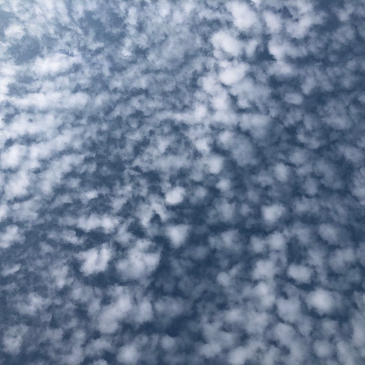 Tamazi19's tweet photo. The weird-beautiful sky over #CreateFestival @ashfordcreate #Ashford yesterday ❤️ https://t.co/lGfdGI7QFy