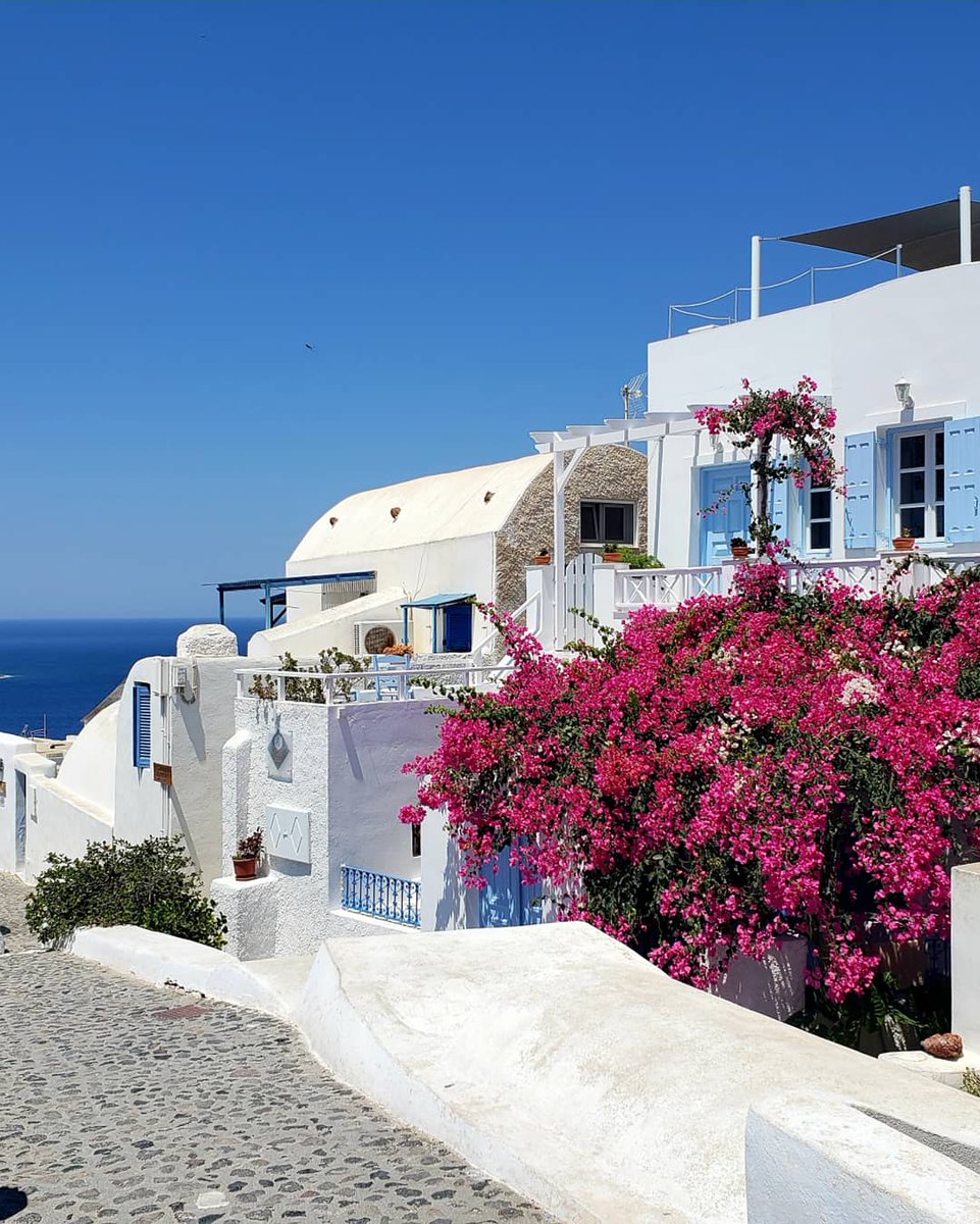 rebecca_szmidt's tweet photo. Omg Greec is so stunning 💖 here 2 pics from Oia Santorini 😍 Cheers! #greece #santorini #Travel #vacation #vacay #blenderseyewear #styeblogger #styledbyme #summerfashion #wiw #ootdshare #mood #fun #vibes #SundayStandard #views #blogger #charlestonblogger https://t.co/ArCzapMrtD
