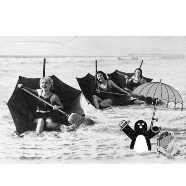 Stukuls's tweet photo. Commute.
#beach #vacation #umbrella #rain #weather #badweather #commut #commuter #travel #travelblogger #ocean #beachlife #wet #beachlife #beachday #rhodeisland #business #ride #traffic #beaches #sardines #beachbody #ladies #brooms #penguin #penguins #企鵝 #펭귄 #пингвин https://t.co/PDVYSt4vbc
