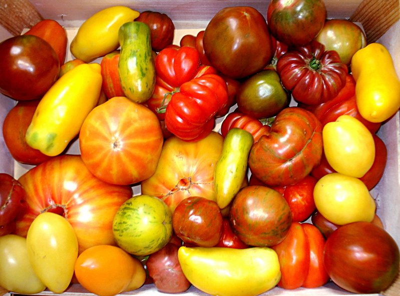 #Bio #PanierBio Profitez de l'été pour essayer un panier bio. #Marseille 12eme.  …mmefourrageremarseille12.blogspot.com/2016/07/profit…