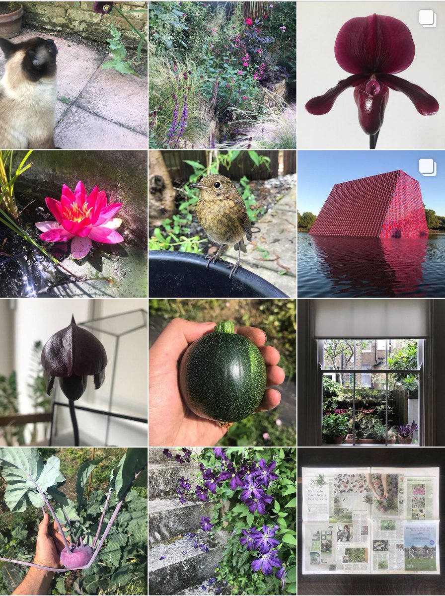 Jack Wallington Follow Me On Instagram For My Visual Diary Of Life On The Allotment Tiny Space Gardening Design Wildlife And Other Real Gardening Adventures From Inner City London T Co 3ck6t8vah0 Jack Wallington Follow Me On Instagram For My Visual Diary Of Life On The Allotment Tiny Space Gardening Design Wildlife And Other Real Gardening Adventures From Inner City London T Co 3ck6t8vah0