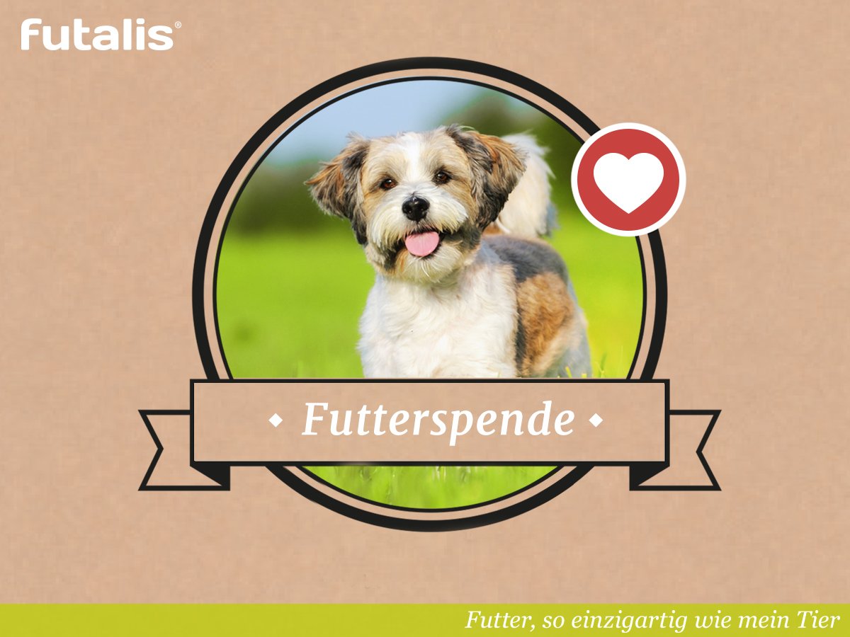 futalis's tweet photo. FUTALIS ENGAGEMENT - Ihr seid gefragt! Kennt Ihr einen Tierschutzverein oder eine Tierschutzorganisation, die händeringend nach #Futterspenden sucht, eine Spendenquittung ausstellen kann und das Futter selbst in #Leipzig abholt? Perfekt! Dann schreibt uns eine Nachricht! https://t.co/6RtZo9r4d6