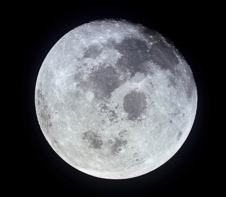 sciencesummedup tweet picture
