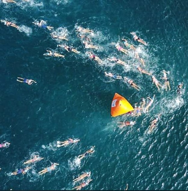 AngelsOpenWater's tweet image. Imagenes 5/8 Copa @GatoradeVzla 3K #AguasAbiertas #OpenWater org por @Hipereventos @JFSportsVe @ECAMaster en Playa Mansa Edo #Vargas
 500 #nadadores participantes. @RevistaFortius @radioelhatillo @deportescomve @julumalu @Swimming_Events @RevistaOpenSwim @klon_perez @masterchacao