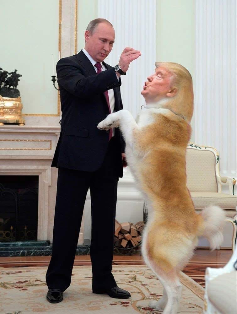 vogue62117962's tweet photo. Good boy !! https://t.co/g1jqlzxxCX