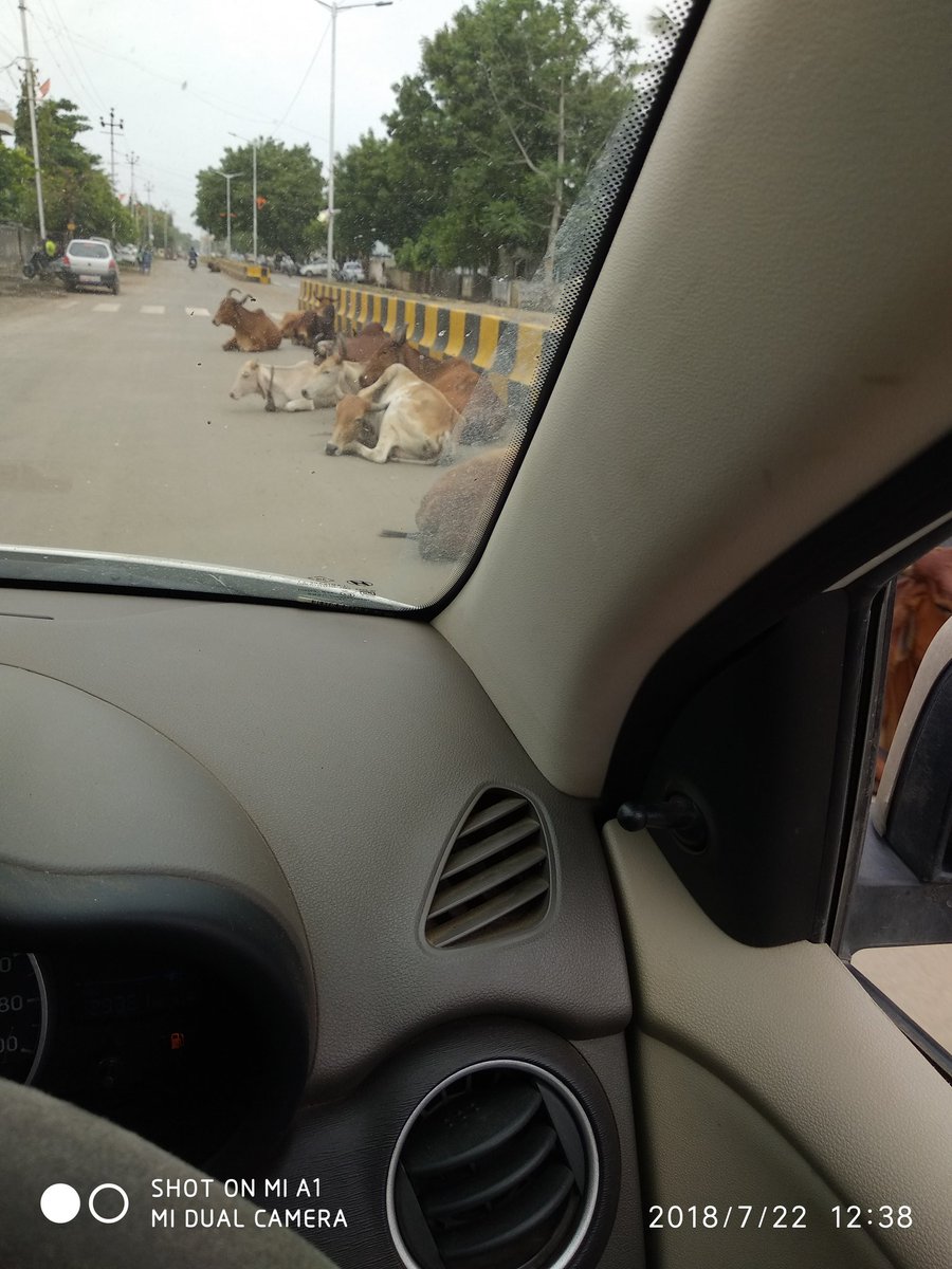 Mykmayank23's tweet photo. If we r talking about smart city, Our bhavnagar is way behind of it... So many complaints &amp; requests to #BMC..no one is bothered or concerned to reply &amp; respond.. @Collectorbhav @SPBhavnagar @BJP4Gujarat @bjpforbhavnagar @jitu_vaghani @vijayrupanibjp @AmitShah  #Vikasindia https://t.co/bMz69BXbIA