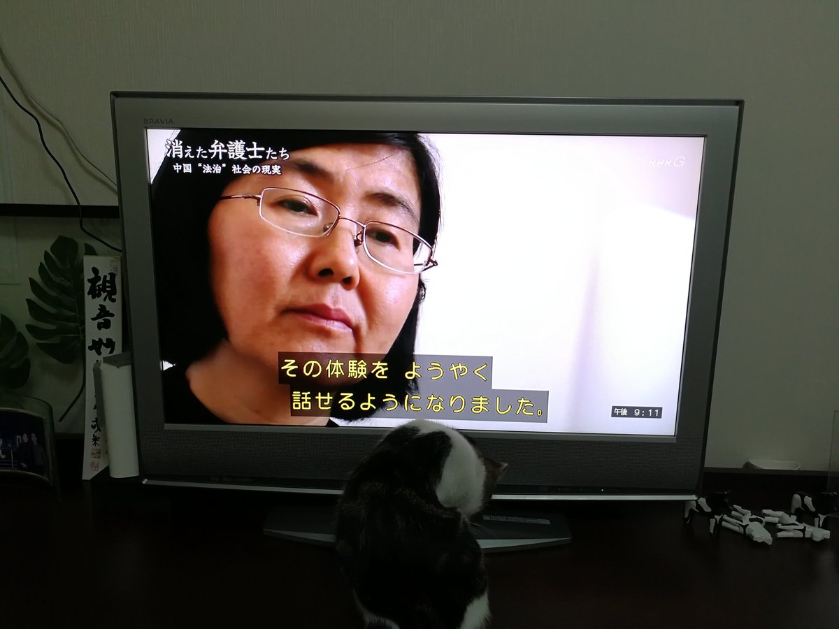 馬走日בטוויטר Nhk正在播放 消失的律师们 中国真实的法治社会 馬走日בטוויטר Nhk正在播放 消失的律师们 中国真实的法治社会