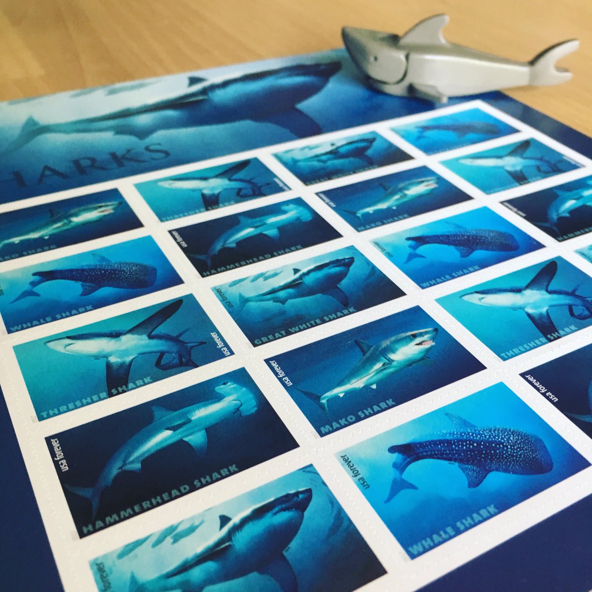 ExploringStamps's tweet image. It’s SHARK Week! 🦈 
Can you imagine ‘Exploring Stamps’ took part in the @Discovery Channel Shark Week...holding a stamp with tweezers in the ocean trying to get the perfect Shark-with-stamp photo...😅 that’s #xtremephilately #philately #stampcollecting #sharkweek #sharkweek2018
