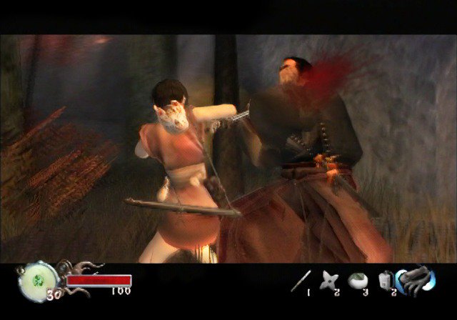 Tenchu Fatal Shadows turns 14 today. I can't believe it's been out this long.