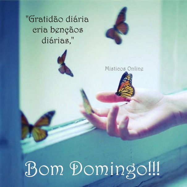 Místicos Online - Bom dia!!!🌺🍀🌼🍁🌻🍀🌺🌼🌞🌺