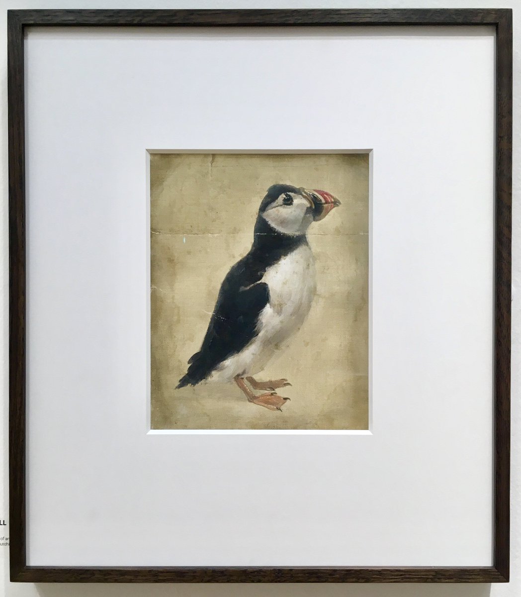 RoyalScotAcad's tweet photo. Derrick Guild RSA has been awarded this year's RSA Maude Gemmell Hutchison Prize for the best drawing or painting depicting a animals, in memory of George Jackson Hutchinson, for his painting 'Puffin (Brecht's Journal)'.
https://t.co/eZ0EJi8Ndo
#RSAOpen https://t.co/SbpTLqRTSr