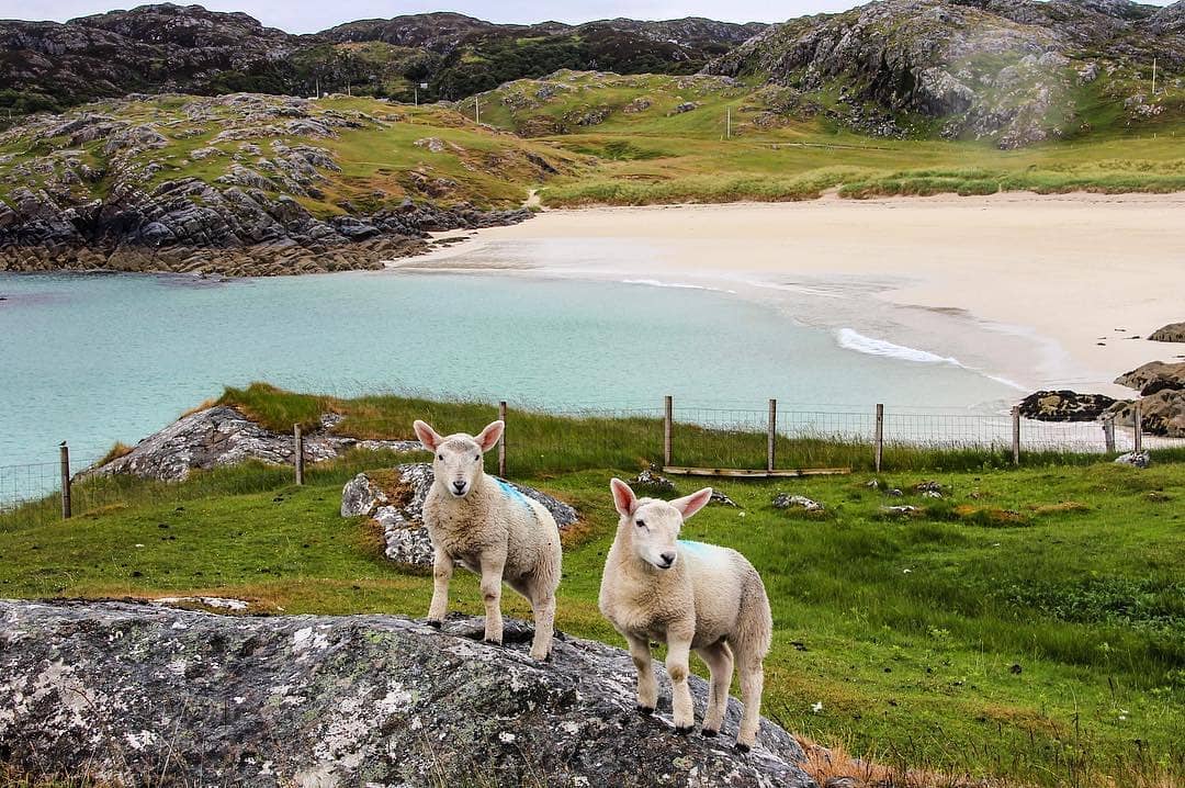 VisitScotland's tweet photo. Now that's an ideal backdrop to be striking a pose in front of! 👌 📍Achmelvich, #Highlands 📷 https://t.co/pWE3OMvTRN https://t.co/IdwzvNFrWS