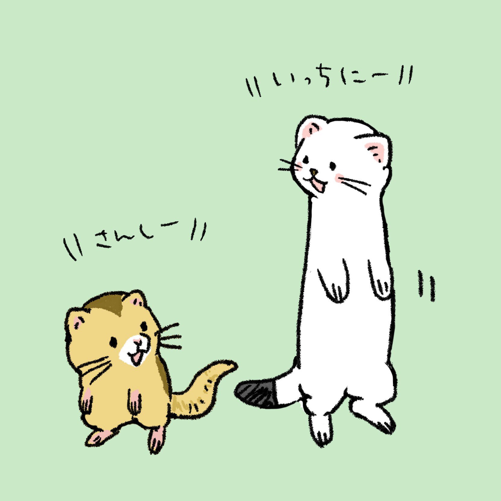 M Bworksたかむらすずな オコジョとヤマネ 信州での放送ご覧になられた皆様 ご視聴ありがとうございました 今日は第1話の おこやま についてのイラスト せっかくなので気まぐれにこぼれ話 みたいな生態や長野についての豆知識 を紹介できたらなと