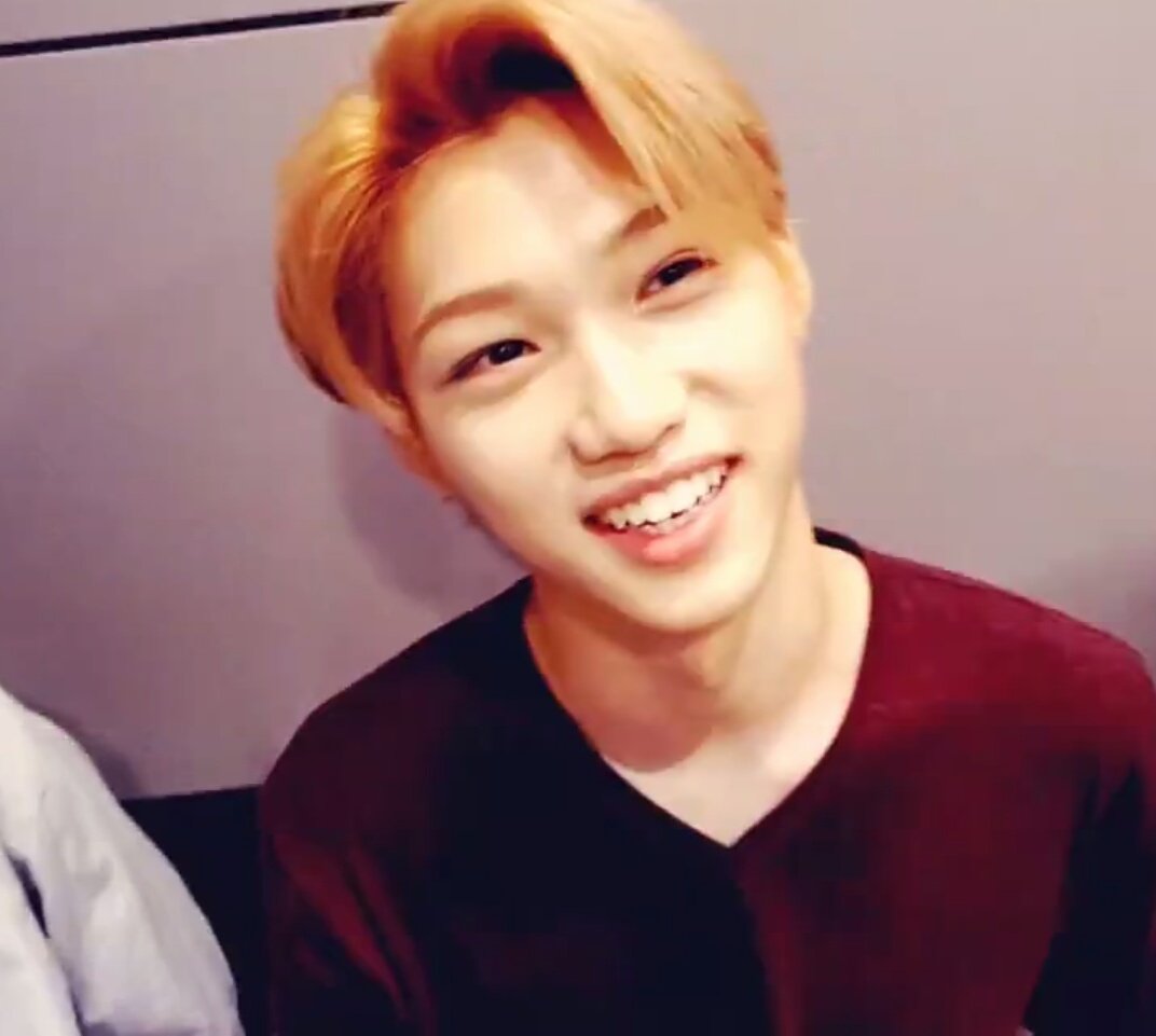 hersheylix's tweet photo. " Sunlight, the most precious gold to be found on earth " ✨ https://t.co/kwpDGLkttk