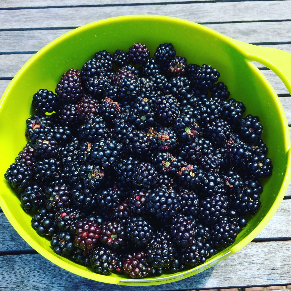 CaerwynAsh's tweet photo. Caviar of the hedgerows: even better from the end of my garden @josephjosephofficial 

Blackberry sorbet with earl grey soufflé @masterchefuk https://t.co/i4wIEjgsIH