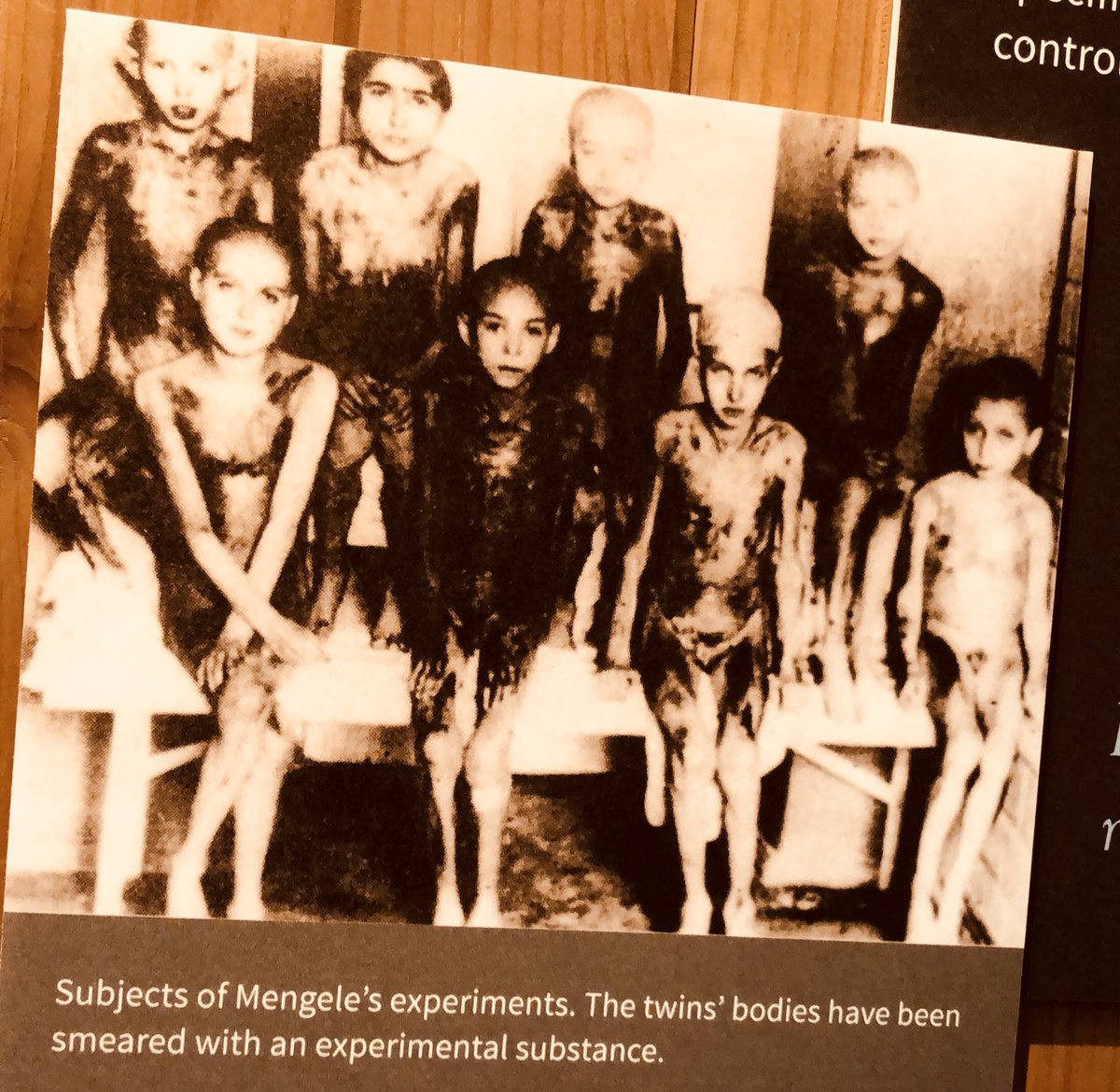 EvaMozesKor's tweet photo. Dear Tweeter land friends if you support my facts that sadly the Holocaust happened while the world was silent &amp; it happened to me then I ask you to mark my tweet with; like, retweet,  &amp; follow me to show the deniers that you support the facts &amp; the truth! @candlesmuseum https://t.co/FDkSIPtSlJ