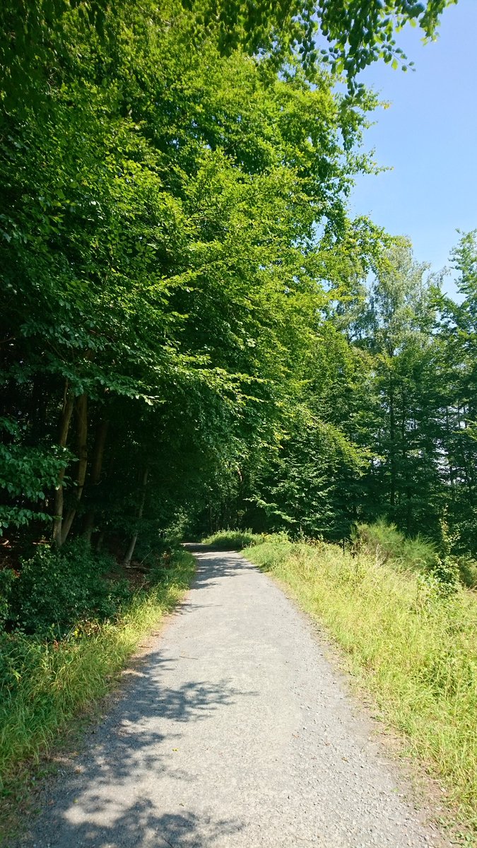 parttime_witch's tweet photo. ☀day hike
#summer2018 #hirschley #kermeter #blueskies #woods #forrest #hiking #trail #bluesandgreens #nature #mothernaturerocks #treehugger #peaceful #serenity #sonyxperiax https://t.co/RNOJWvmx6x