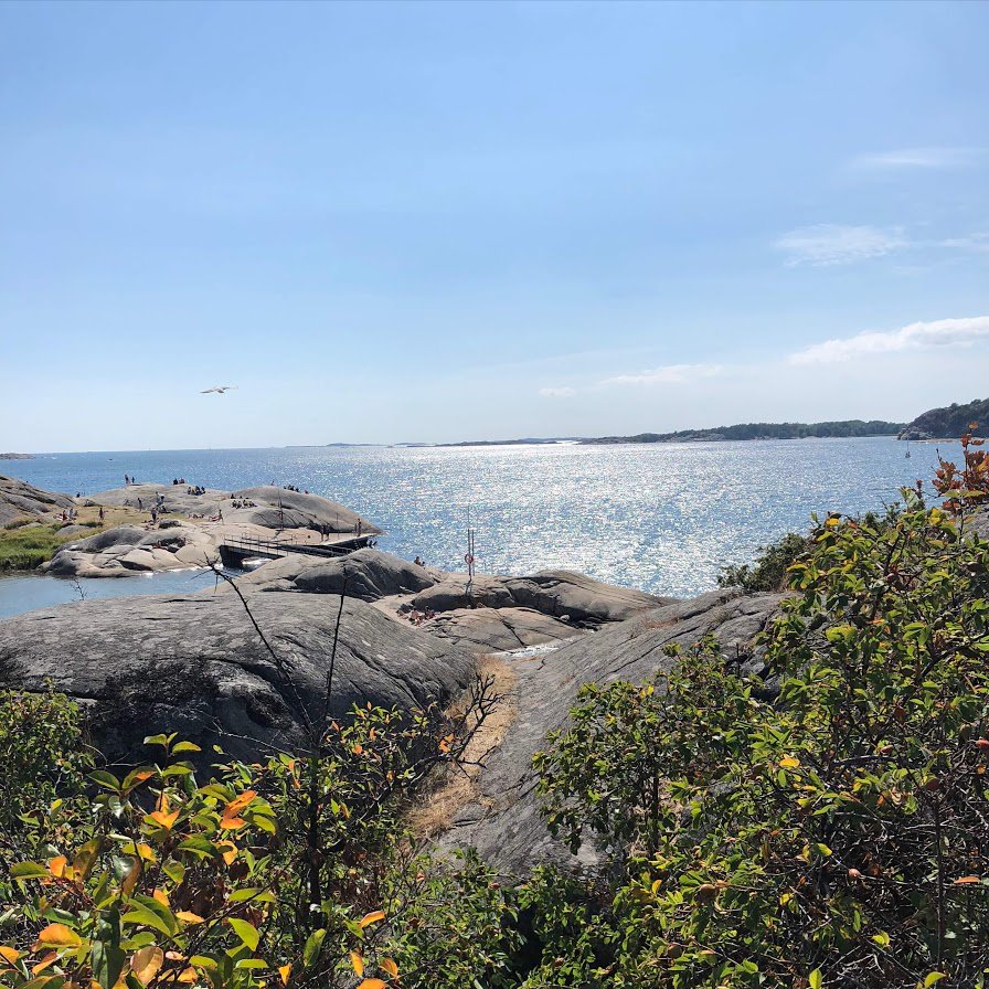 tedxgoteborg's tweet photo. Sweden is experiencing one of the hottest summers in decades. Take advantage of the sunny weather and head to one of the cities many beaches and have a Gothenburg-style picnic with fresh shrimps, aioli, great bread and a refreshing drink. Swedish summer at its best. https://t.co/Sf6j4hIavU
