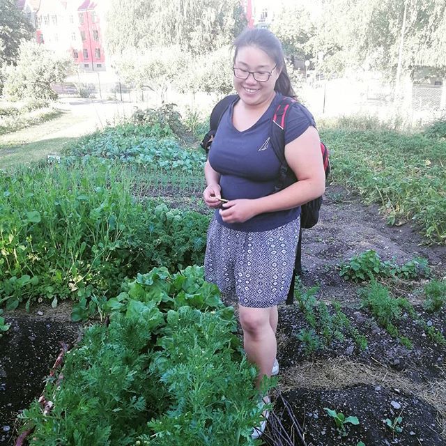 Oppskriften på EeFeis hverdagslykke er ganske enkel. Frø, jord, vann, og godt selskap 🌱🌱🌱 #nabolagshager #grenseløsegrønnsaker #geitmyraskolehage #parsellhage #selvdyrket #selvdyrketerveldyrket #spirendeoslo ift.tt/2JL1adB