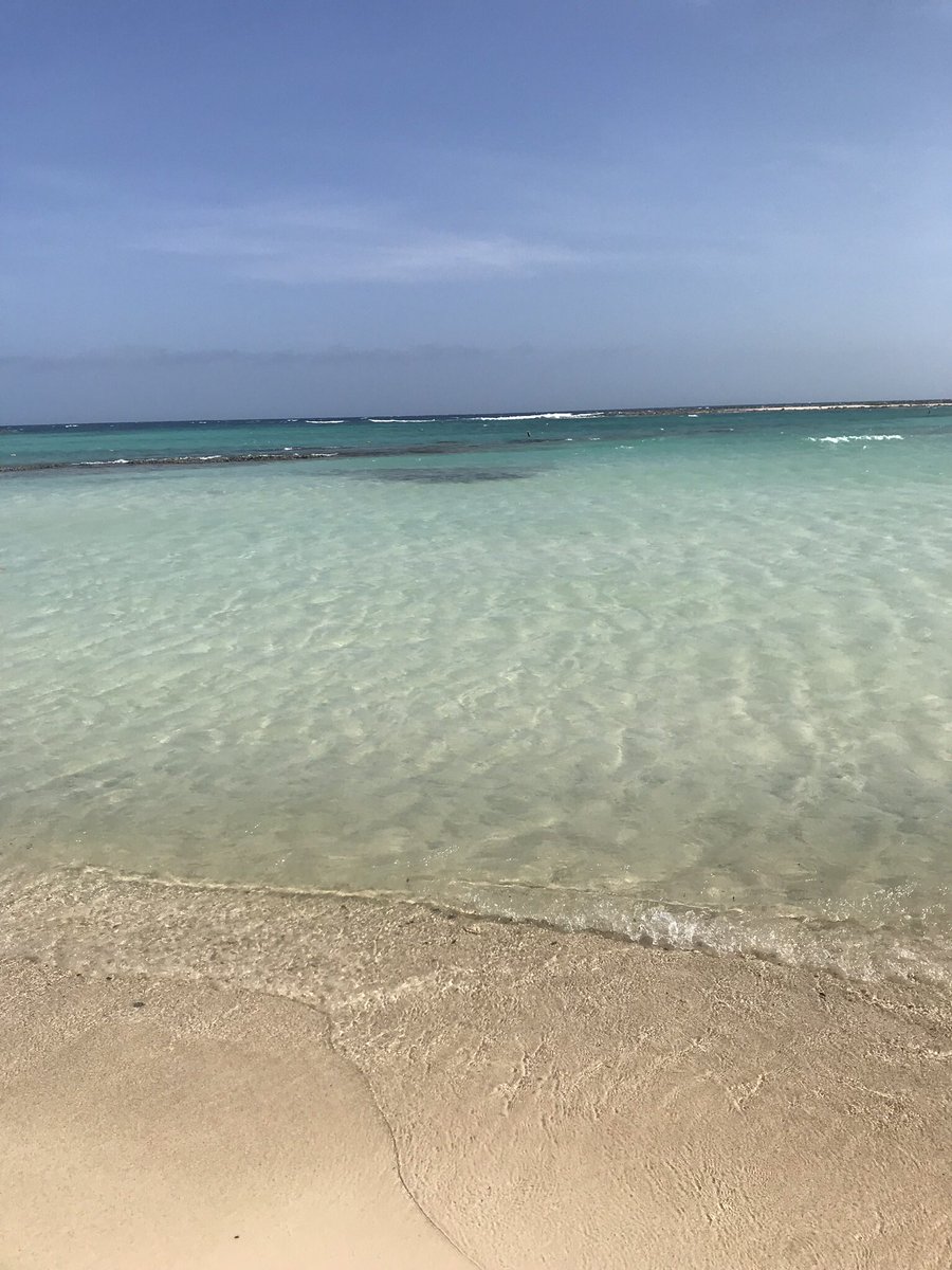 jrbwilliams's tweet photo. #babybeach https://t.co/IRhmqYCoyn