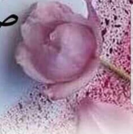 to83i's tweet photo. https://t.co/Tx3fJyRZWx