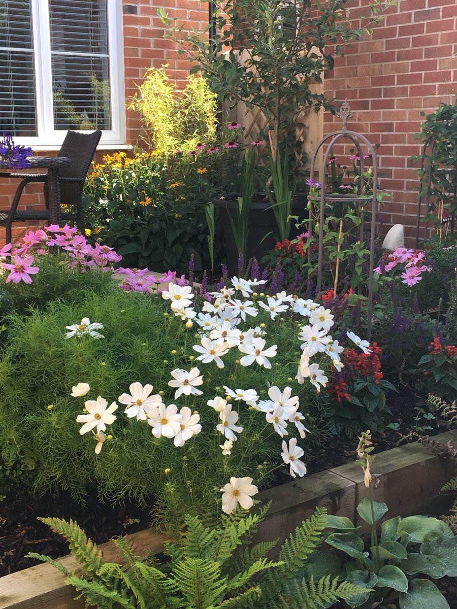 ActionColour's tweet image. Our garden is looking nice and colourful this year.