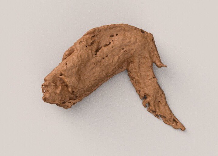 castem_liq's tweet photo. 手羽先を見たらCT撮影して3Dプリントしたくなりませんか？？LiQはそんなあなたのものづくりへの熱い想いを叶える場所です。
https://t.co/mkqfitd2Xa
