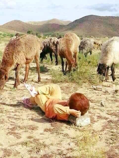 _al_suwailem's tweet photo. أحياناً نبحث عن راحة البال ، في الإبتعاد … 😊 https://t.co/TQnJnSdhiG