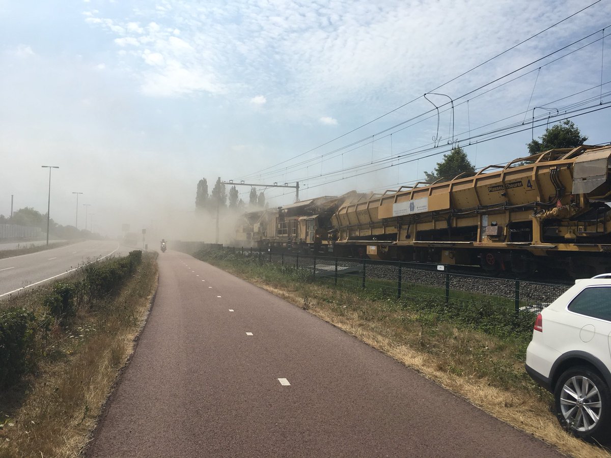 Saendelft tweet media