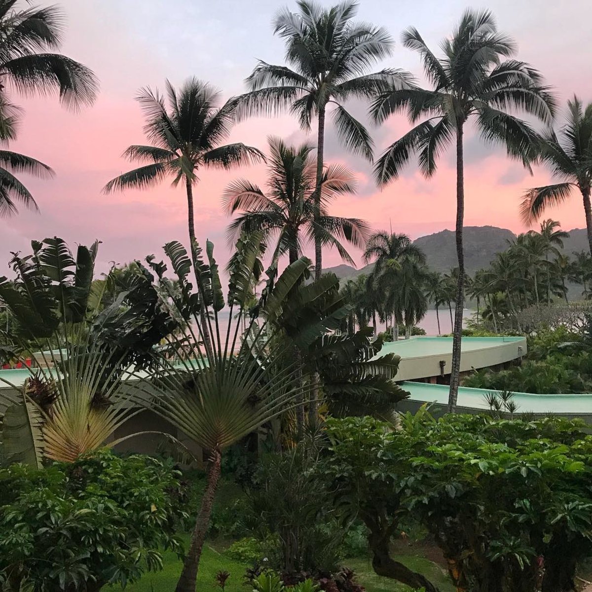 Every sunset is a new story to tell. (photo: @katelanean)