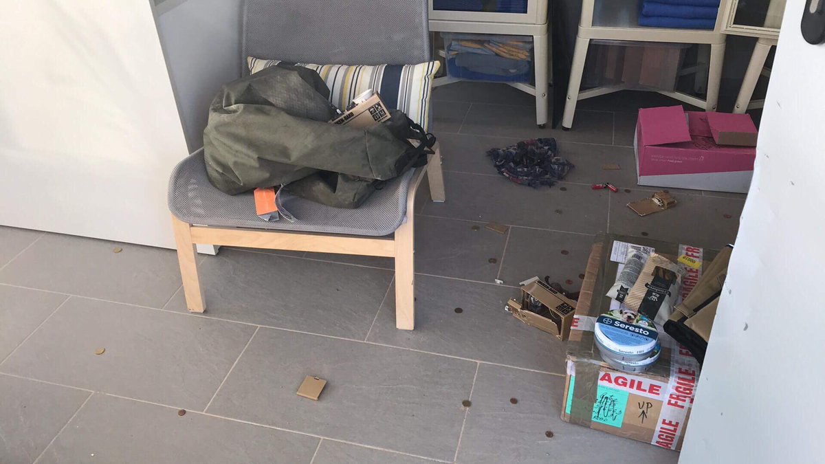 GalgosdelSol's tweet photo. GDS was robbed early Saturday morning. Luckily no dogs or volunteers hurt but we need more security. Next time the dogs or humans might not be so lucky Help us here please please please https://t.co/EiZ0IqEptX https://t.co/tiyn29Hv0R