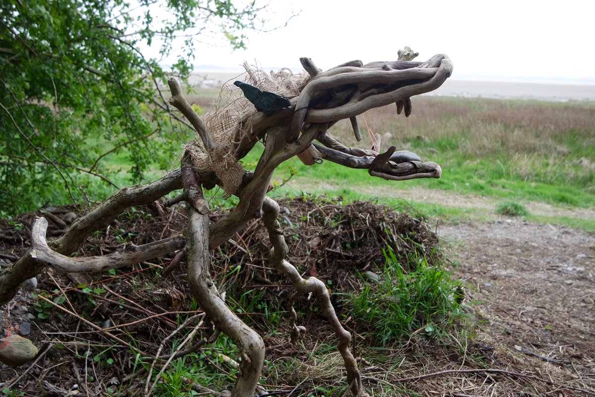 WILDERNEST OPEN DAY Saturday 28 July 2 - 6.30pm on the shore below the Beach House. All FREE. Live music, animated sideshow, wind sculptures, cook campfire treats, join coastal ecology expert, take time out in our beautiful Observation Pod. deadgoodguides.co.uk /?p=2902