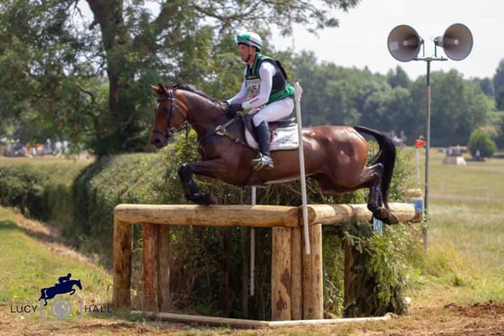 Lucy Hall tweet media