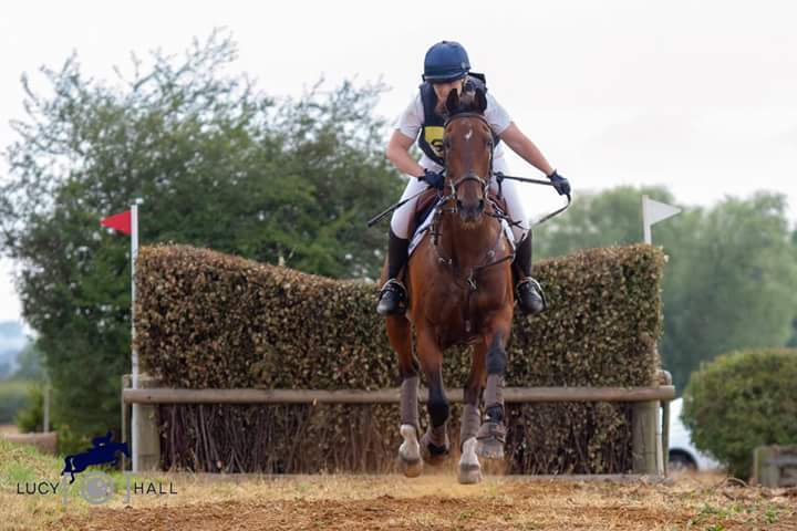 Lucy Hall tweet media