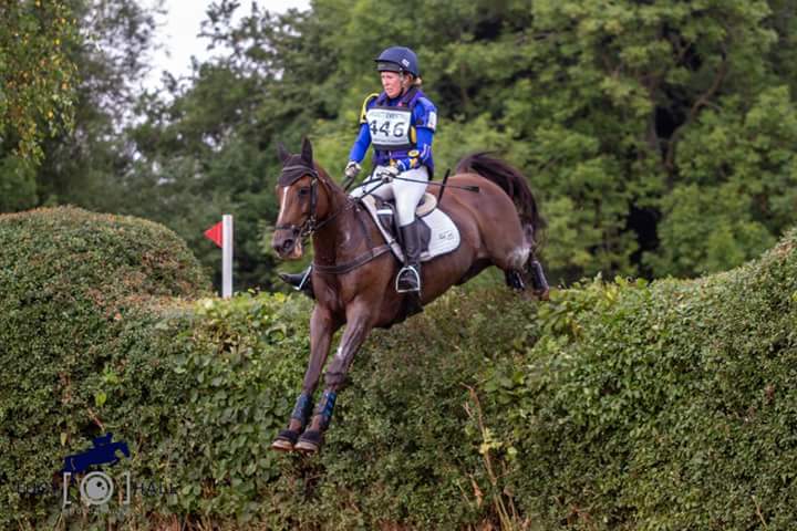 Lucy Hall tweet media