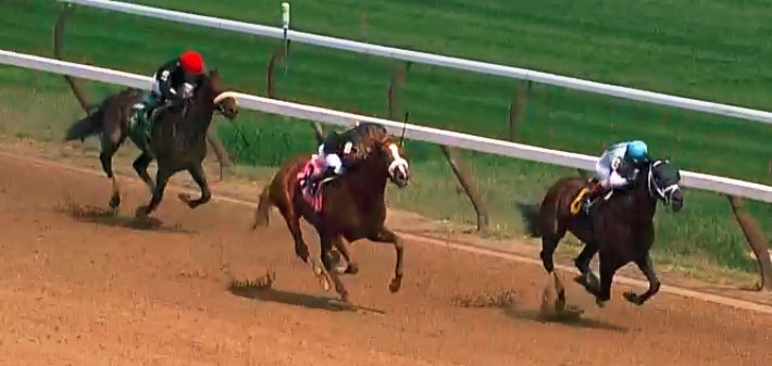 PhippsStableFan's tweet photo. BREAKING: ORB & POINT OF ENTRY-SIRED COLTS FINISH IN THE MONEY IN SARATOGA RACE 5
#PhippsStable's #Domain ran a fine race, lead fm start, hung on in stretch for show finish. #PointToRemember made far turn move & closed nicely for 2nd. @AdenaSprings @claibornefarm @J_JerkensRacing https://t.co/LWl4aeQHjn