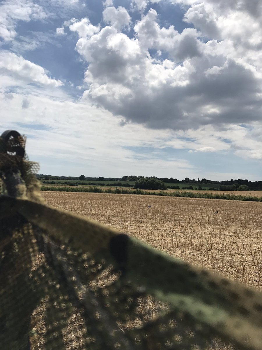 Jamie brightman (@jamie_brightman) on Twitter photo Nice change away from the clays with <a href="/georgedigweed/">George Digweed</a> today. <a href="/GameboreUK/">Gamebore Cartridges</a> Pigeon extreme #awesome Nice change away from the clays with <a href="/georgedigweed/">George Digweed</a> today. <a href="/GameboreUK/">Gamebore Cartridges</a> Pigeon extreme #awesome