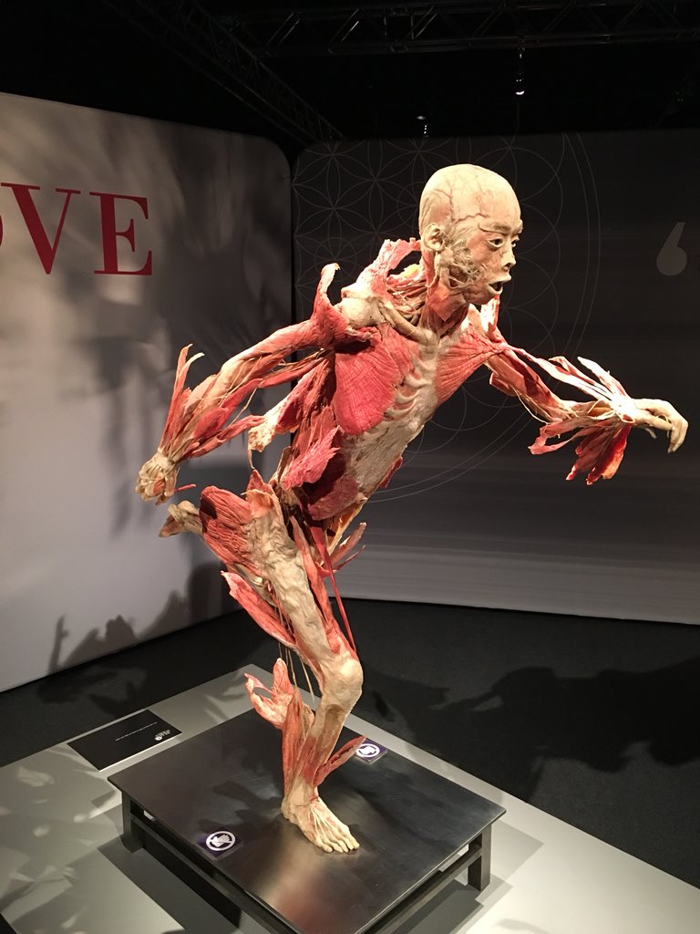 The Real Bodies Exhibition was very thought provoking and we left having some interesting conversations with <a href="/SunnyDhap/">Sunny Dhap</a>