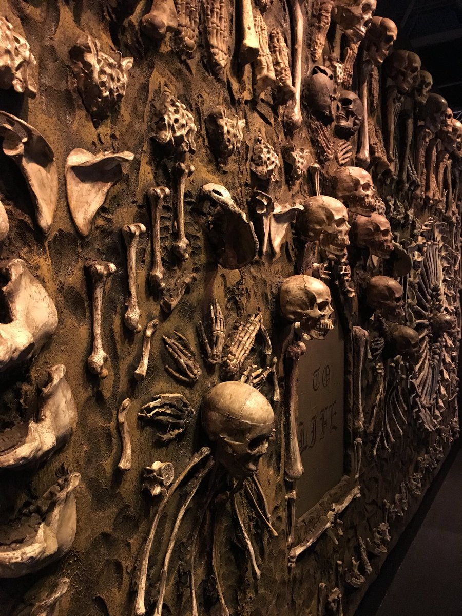 More great pictures from the Real Bodies Exhibition! 

And if you look carefully you can see @HPILLminster in the background of the second picture 😊