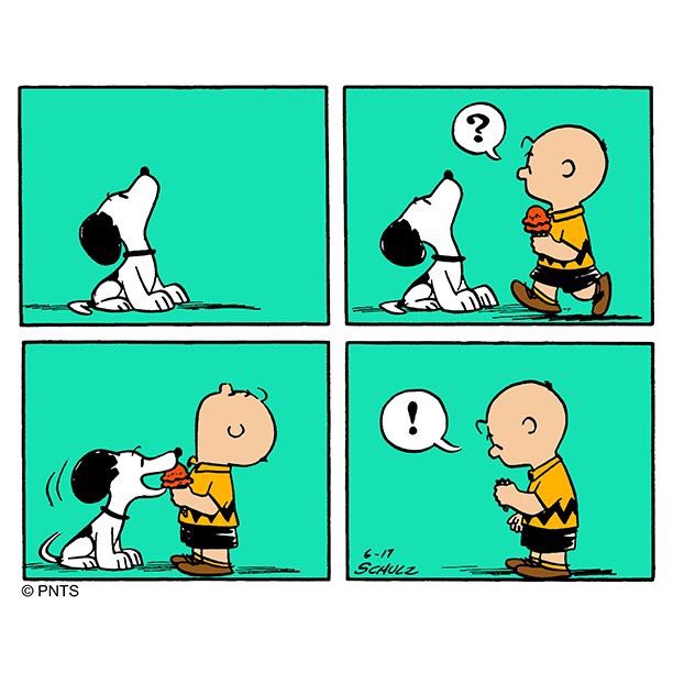 mundoSnoopy's tweet photo. Keep a close watch on your ice cream.
#Snoopy #CharlieBrown #HappySunday🍦 https://t.co/xA2Rfeaqak