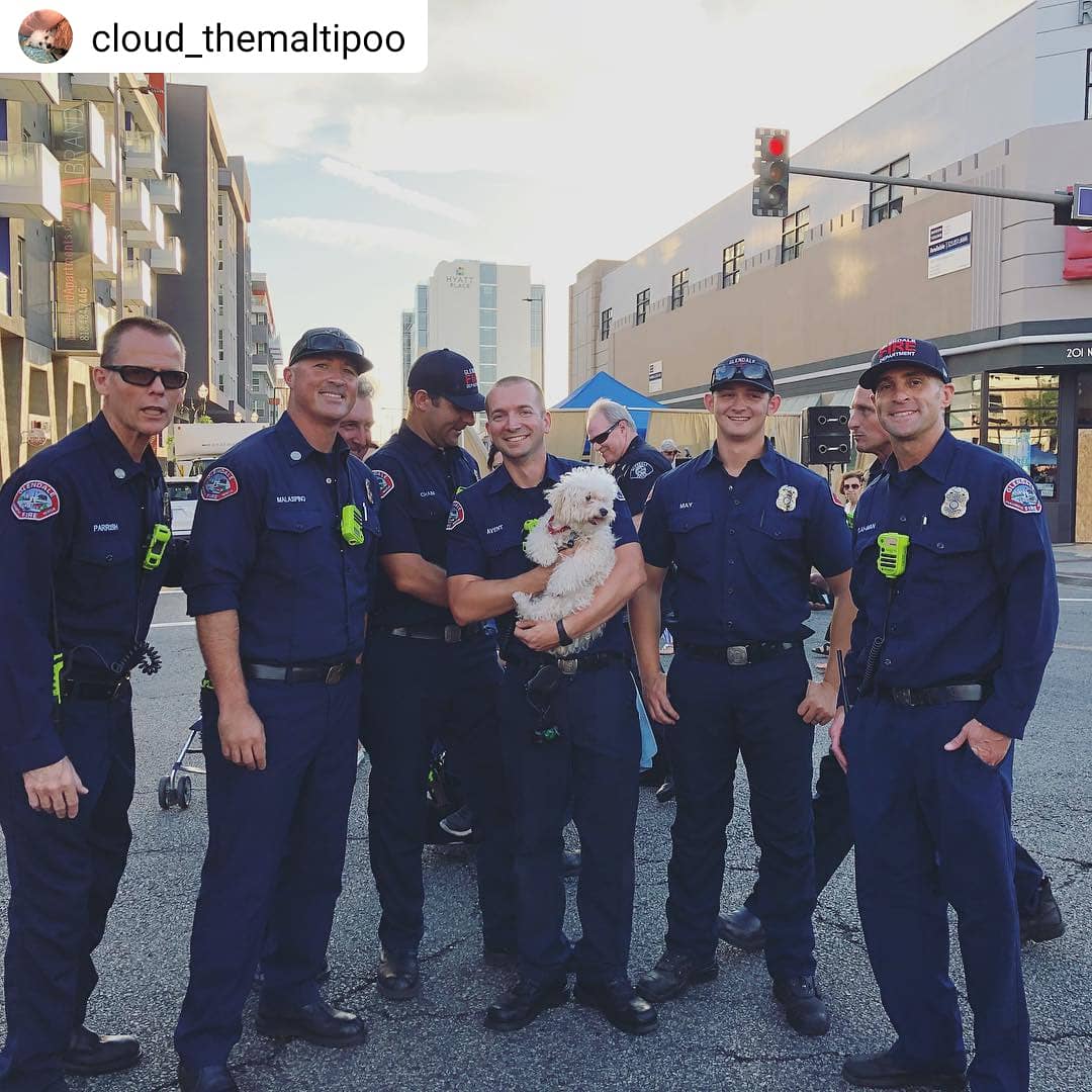 GlendaleFireCA's tweet image. Another great Cruise Night in the books!! Congratulations to Cruise Night participant George Mirzoian for receiving the Fire Chief’s Trophy for his 1947 Plymouth. 

#scrollformore #mygfd #MyGlendale #plymouth #cruisenight2018 #meetmeonbrand