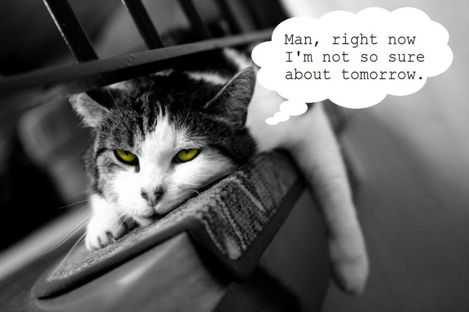 wilfscafe's tweet image. Sunday got us like...

#SMonday
#GoodbyeWeekend

@keswickbootco 
@lakedistrictDad 
@WindermereInfo 
@StaveleyWelfare