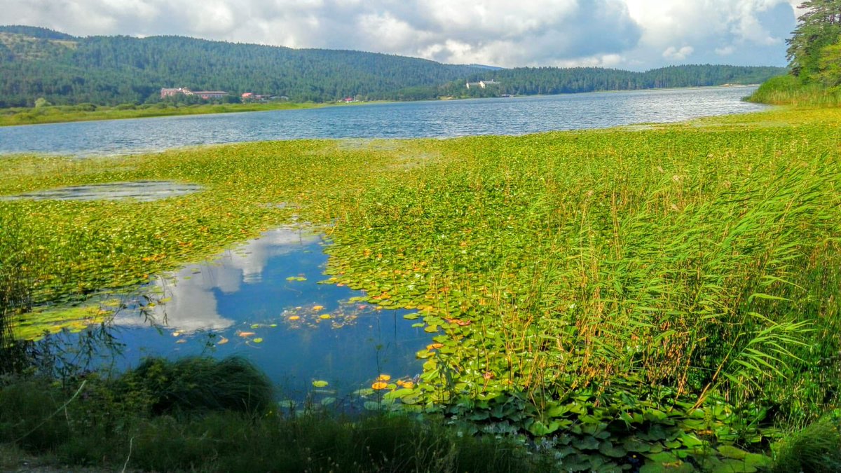 gökhan (@manova_group) on Twitter photo 