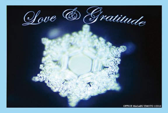 H2OmWater's tweet photo. Happy International #LoveandGratitudeDay the most important thing we can give to others is our love and appreciation. #EmotoPeaceProject  #SharetheLoveandGratitude @Love_ThanksDay  @LovePlanetGive https://t.co/kbJHdUmyk7