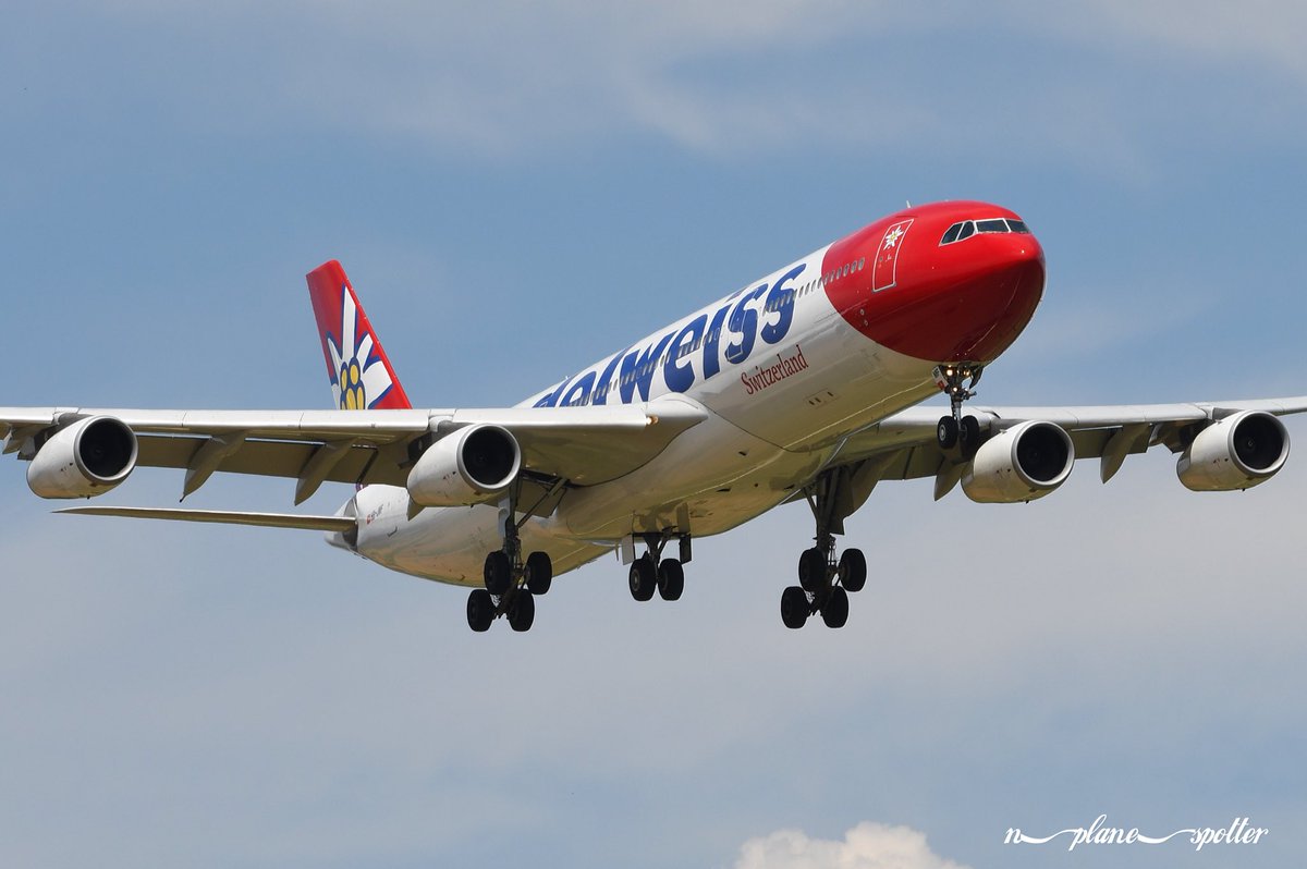 n_spotter's tweet photo. Edelweiss Air ✈️A340-313🔺HB-JMF🔻Age: 14 years 🛬Zürich 📸 Zürich 📆 14.07.2018 
#aviationlovers #aviation  #aircraftspotting  #avgeek #airportzurich #n_plane_spotter #planespotting #a340 #flyedelweiss #airbus #dailyplanepics #planepics #avporn #aviationphotography https://t.co/latASiHKpu